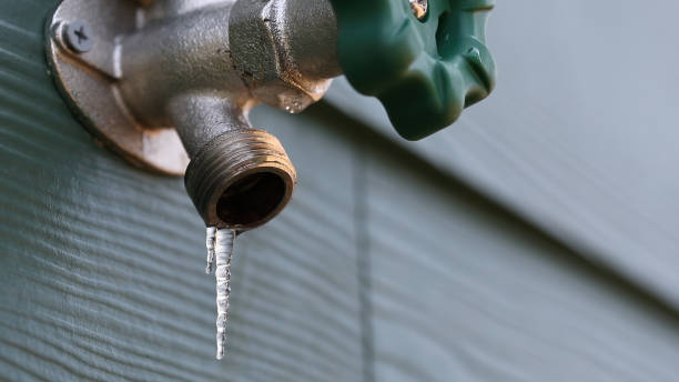 Best Residential Plumbing Services  in Monrovia, MD